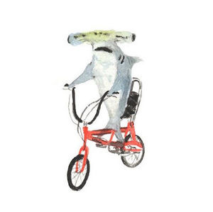 Meet your Posher, William